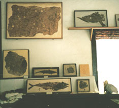 Early mural work