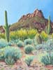 Tucson Mountain