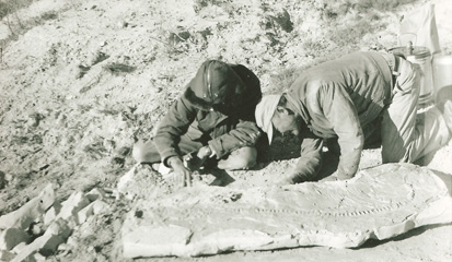 Preparing the Slab