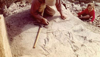 Fossil Hunting - 1961