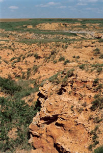 The red beds
