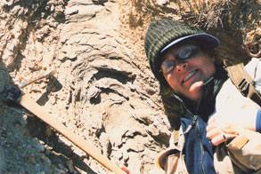 A fossil find
