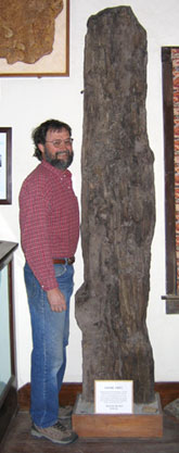 Chuck Bonner standing next to his fossil tree