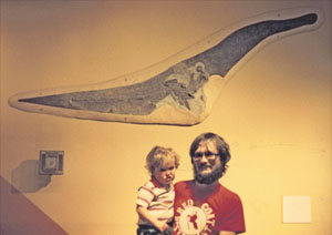 Pteranodon skull