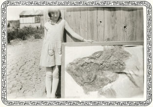 Xiphactinus Skull - 1928