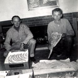 Plesiosaur at Home