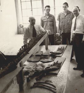 Plesiosaur in Lab