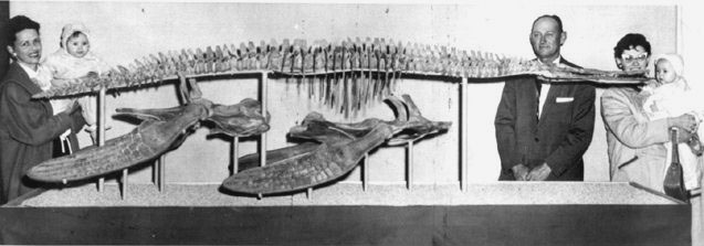 Family Members with Plesiosaur